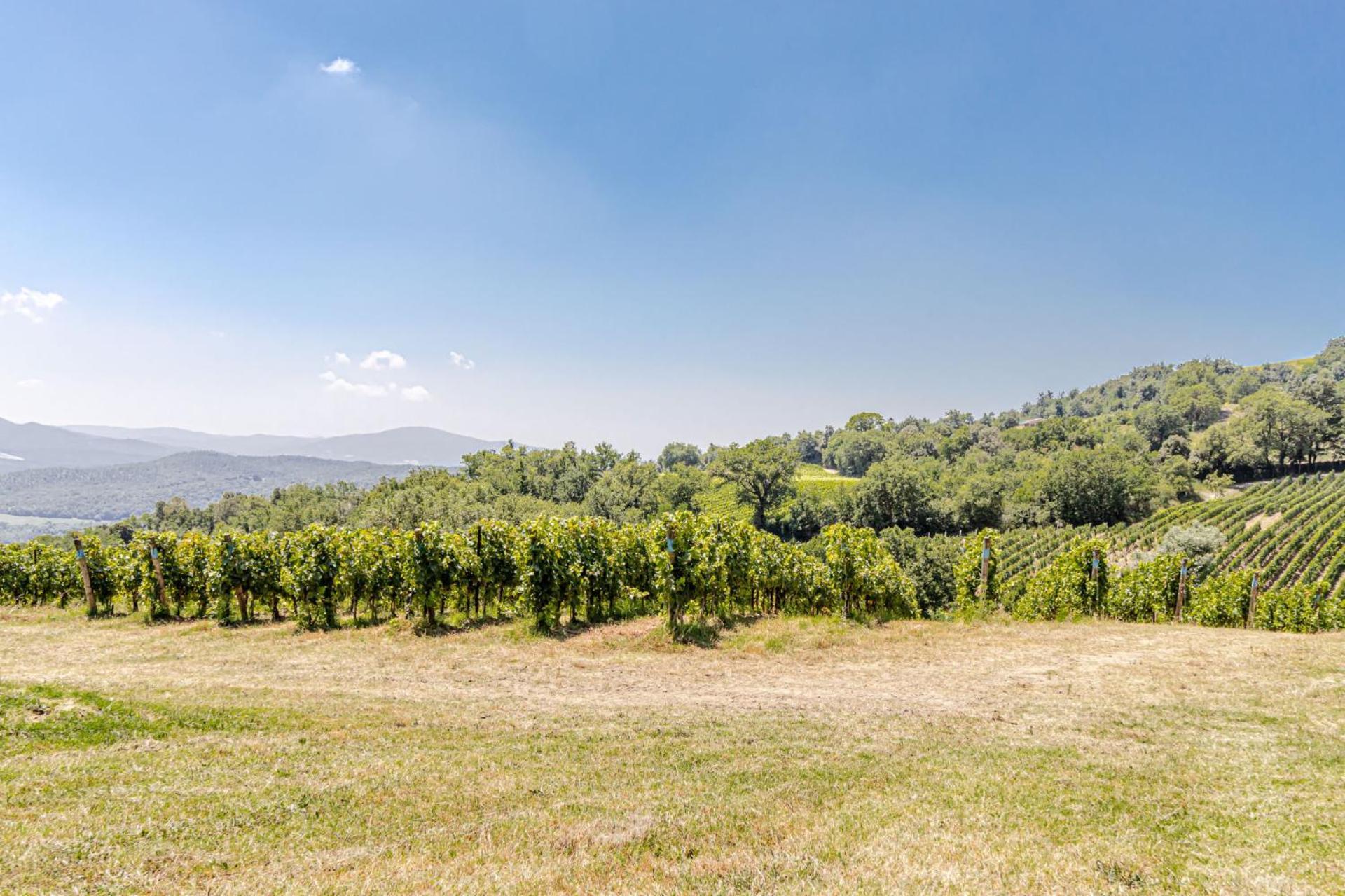 Chateau La Siroque Montecatini Val di Cecina Exteriör bild